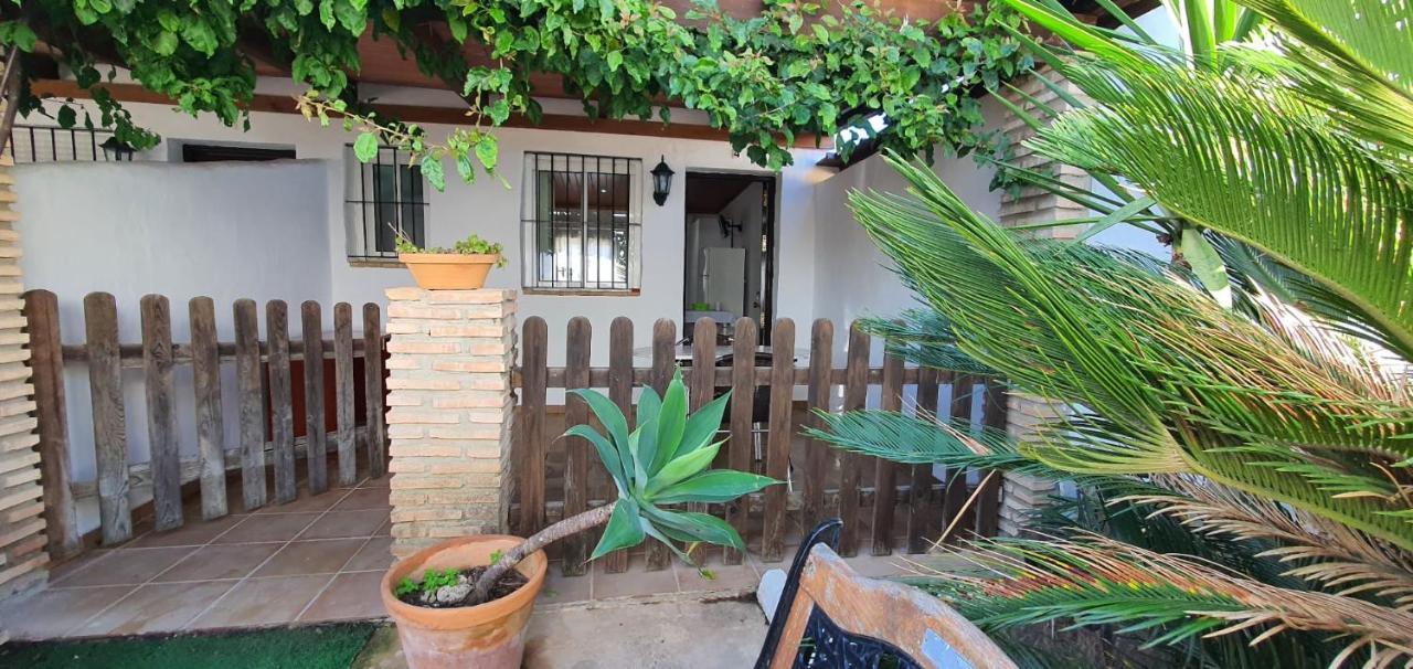 Estudios Con Piscina Compartida En Conil. Cádiz Exteriér fotografie